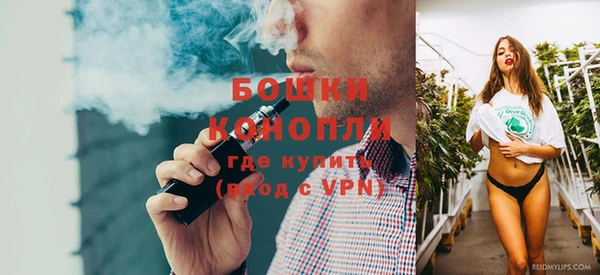 не бодяженный Горно-Алтайск