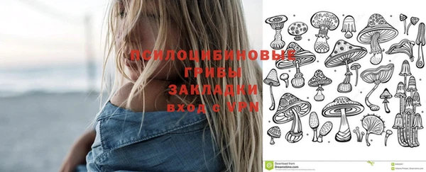не бодяженный Горно-Алтайск